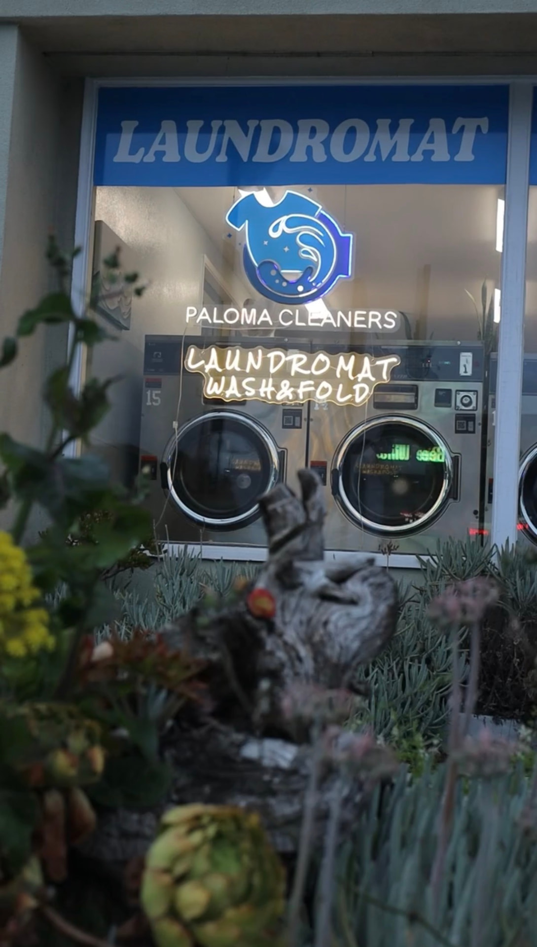 Paloma Cleaners — work by MC Media